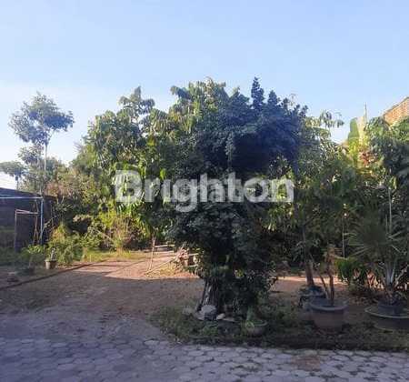 Lahan Tanah Pekarangan Strategis Jalan Raya Adisucipto Colomadu