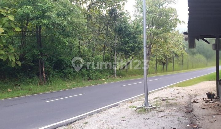 *Land Plot by the Roadside Near Gajahmungkur Reservoir, Wonogiri*