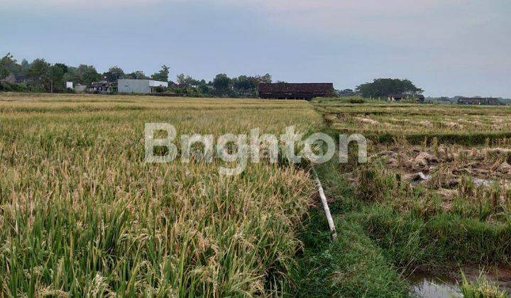 CEPAT TANAH PEKARANGAN DEKAT PASAR MANGU, BANDARA, WADUK CENGKLIK, DAN PINTU TOL SOLO-NGAWI 1