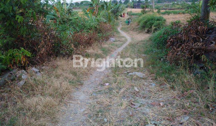 CEPAT TANAH PEKARANGAN DEKAT PASAR MANGU, BANDARA, WADUK CENGKLIK, DAN PINTU TOL SOLO-NGAWI 2