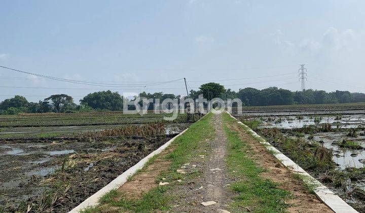 TANAH HOOK LOKASI STRATEGIS DEKAT EXIT TOLL SIDOHARJO SRAGEN 1