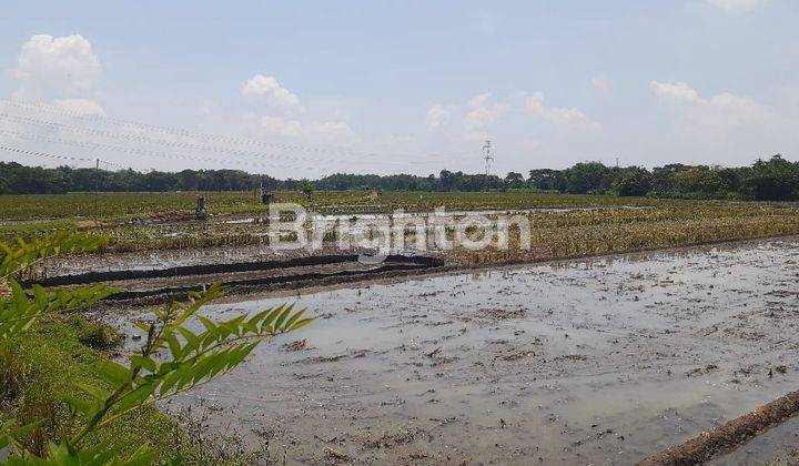 TANAH NGANTONG LOKASI STRATEGIS DEKAT EXIT TOLL SIDOHARJO SRAGEN 2