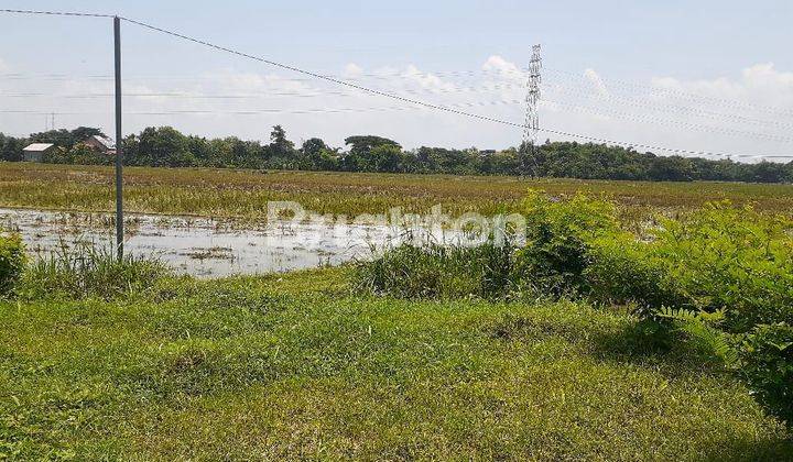 TANAH NGANTONG LOKASI STRATEGIS DEKAT EXIT TOLL SIDOHARJO SRAGEN 1