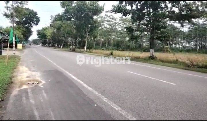 TANAH DI NGUTER SUKOHARJO SOLO 1