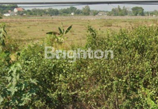 LAHAN TANAH 1,7 HA LOKASI STRATEGIS PINGGIR JALAN NASIONAL AREA CARUBAN MADIUN 1