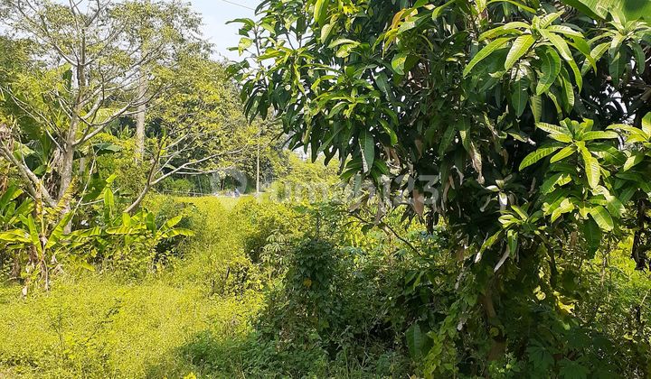 Strategic Land Location Near Sidoharjo Sragen Toll Exit