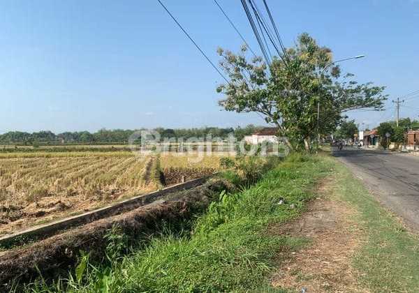 Land for Housing and Business Area in Tanon Sragen