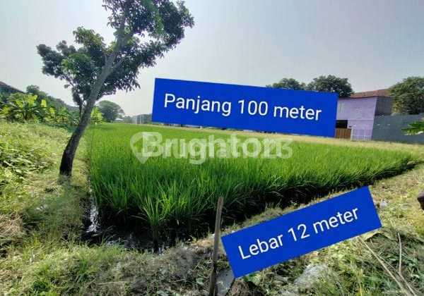 Lahan Tanah Untuk Investasi Usaha Bisnis Dekat Uin Raden Mas Said