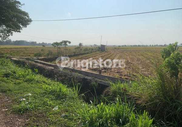 Land for Housing and Business Area in Tanon Sragen