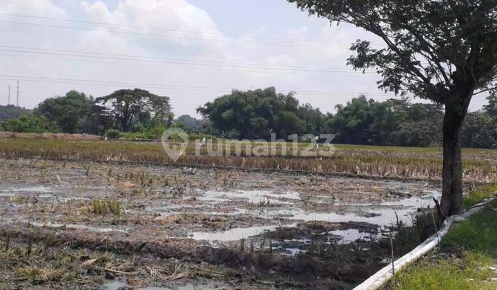 Land Hook Strategic Location Near Sidoharjo Sragen Toll Exit