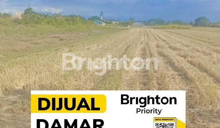 Yellow Zone Land Strategic Location Near Colomadu Toll Exit