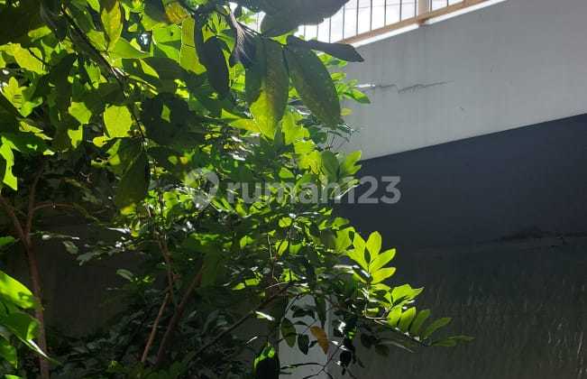 Rumah Mewah 3Lt Siap Huni di Cluster Asia Tropis Harapan Indah Bekasi 2