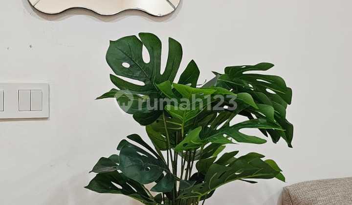 FOR RENT BEAUTIFUL FULLY FURNISHED HOUSE IN GOLF ISLAND PIK 2 SYMPHONIA CLUSTER 2