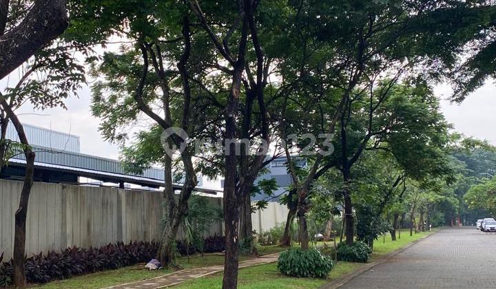 Turun Harga Rumah Depan Taman Perlu Renov diDe Park Cajuputi BSD  2