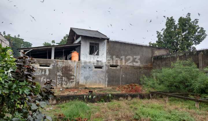 Shop House Fronting Cipayung Main Road - Suitable for Business & Swiftlet Investment 2