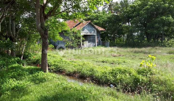Dijual BU TanaH untuk Gudang atau Pabrik di Sukadiri, Tangerang Dijual BU TanaH untuk Gudang atau Pabrik di Sukadiri, Tangerang