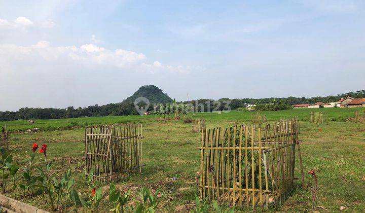 Dijual Kavling Kampung Sawah Rumpin, Bogor 2