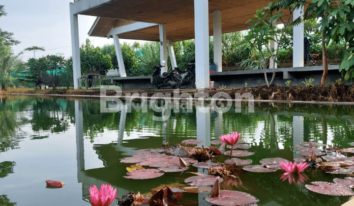 Villa Tempat Wisata Kurma Astaraja Margahurip Di Bandung Ludologi Garden 2