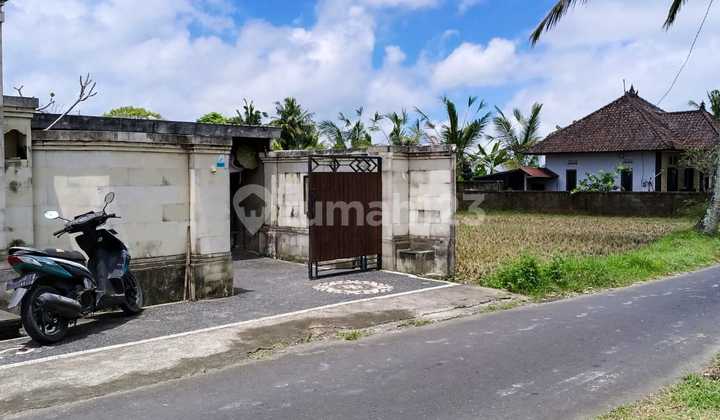 For Rent House On Tampak Siring Road Br Bukit 2