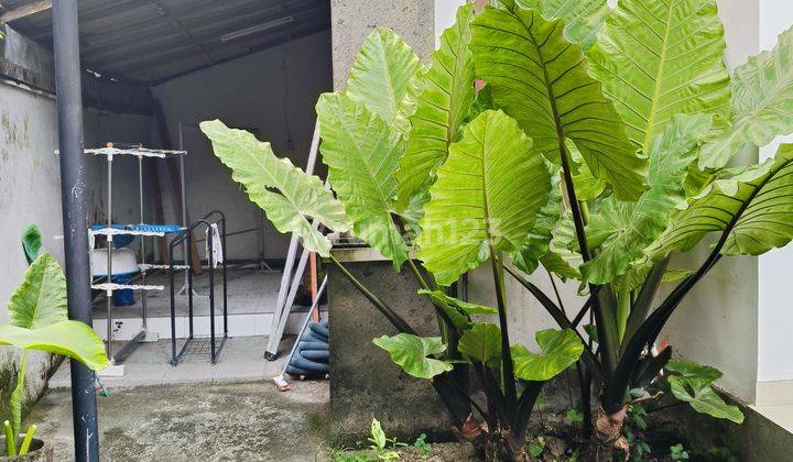 Dikontrakkan Rumah Mewah Di Jalan Sedap Malam 1