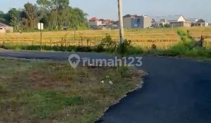 Di Jual Tanah Jalan Siulan Oenatih Denpasar