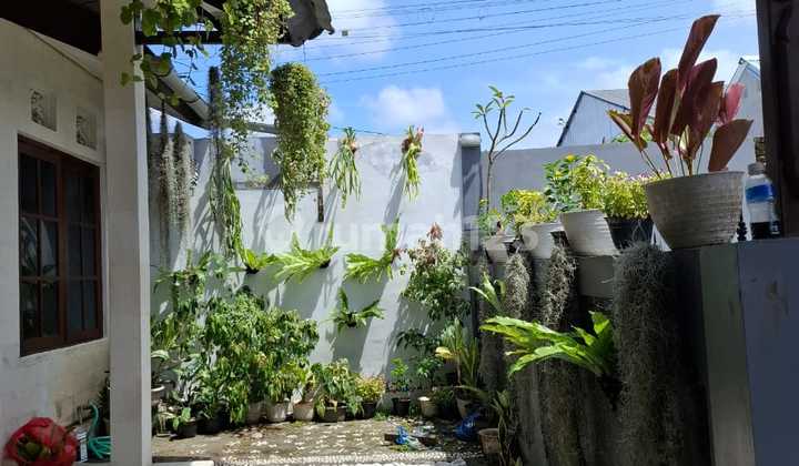 Di Kontrakkan Rumah Siap Huni di Jalan T di Jl. Tunjung Sari No.7x, Padangsambian Kaja, Denpasar Barat, Kota Denpasar, Bali, Indonesia, 80117, Denpasar Barat Di Kontrakkan Rumah Siap Huni di Jalan T di Jl. Tunjung Sari No.7x, Padangsambian Kaja, Denpasar Barat, Kota Denpasar, Bali, Indonesia, 80117, Denpasar Barat