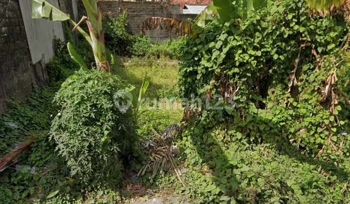 Di Juql Tanah Siap Bangun di Jalqn Trengguli Denpasar Timur