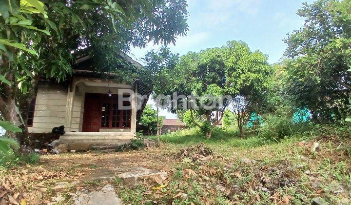 LOKASI SANGAT STRAEGIS,COCOK UNTUK USAHA ATAU INVESTASI 1