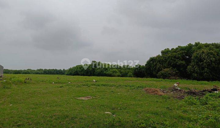 Tanah Pergudangan 10ha Kamal Bisnis Center kbc Tangerang  1