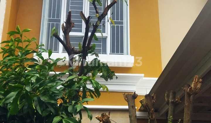Disewakan Rumah Siap Huni Baru Direnov Di Cluster Elista Gading Serpong 2