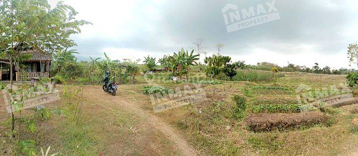 Kavling Luas 123 Tanah Pertanian di Gunungrejo Singosari Malang 2