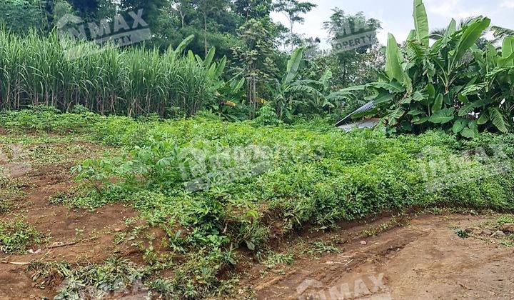 Tanah Luas 84 Di Kreweh Singosari Malang Bisa Untuk Perkebunan 1