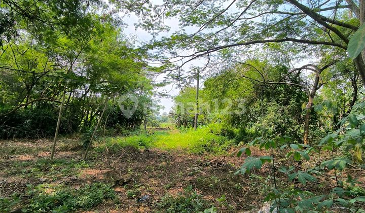 Dijual Tanah Komersial di Tigaraksa, Tangerang Dekat Pemda