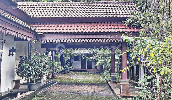 For Sale Fast, Cool and Serene House with Swimming Pool in Kalibata, South Jakarta.