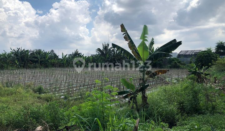 Gudang / Pabrik Lokasi Strategis Siap Huni Bebas Banjir Pinggir Jalan Raya Hadap Timur Dekat Dengan Park Serpong Dan Gading Serpong Di Legok Karawaci Tangerang