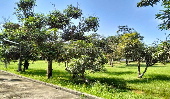 Pabrik Dan Gudang Murah Lokasi Strategis Dekat Pintu Tol Di Pasar Kemis Cikupa Tangerang 2