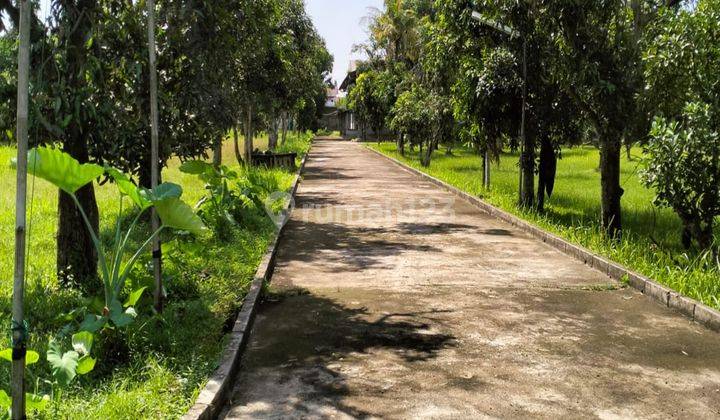 Pabrik Dan Gudang Murah Lokasi Strategis Dekat Pintu Tol Di Pasar Kemis Cikupa Tangerang 1