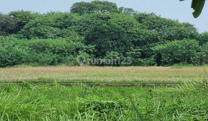 Tanah Industri Hook/Hoek Murah Siap Bangun Cocok Untuk Pabrik Atau Gudang Lokasi Strategis Pinggir Jalan Raya Serang Di Kawasan Industri Kms Kertamulya Sari Pakan Ciujung Serang Banten 2