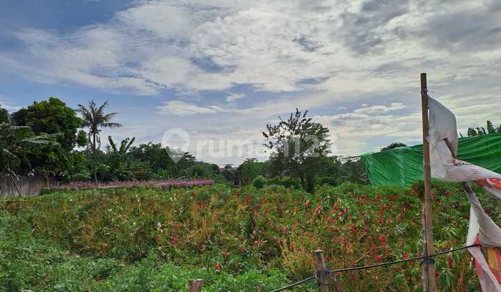 Tanah Murah Cocok Untuk Kawasan Industri Pabrik Gudang Dan Komplek Perumahan Bebas Banjir Di Pasar Kemis Tangerang