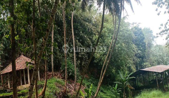 Tanah Murah Cocok Untuk Perumahan Lokasi Strategis Di Desa Sukasari Dan Desa Kahuripan Rumpin Bogor 2