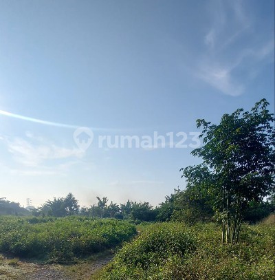 For Sale Cheap Empty Land Plots Legok SHM Tangerang