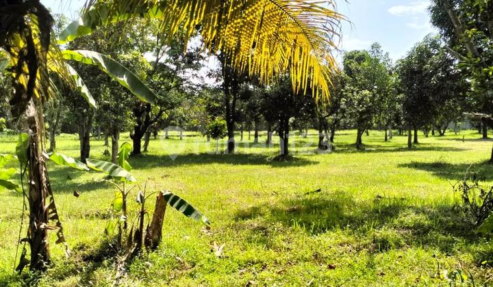 Tanah Industri Murah Lokasi Strategis Dekat Akses Toll Di Cikupa Tangerang