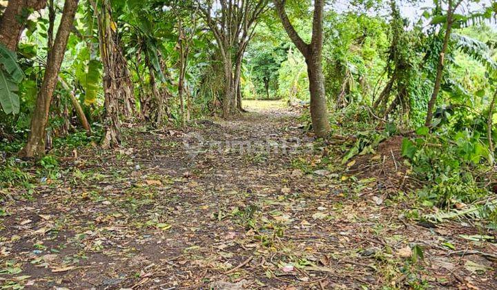 Tanah Murah Zona Industri Lokasi Strategis Pinggir Akses Kontainer 40Ft Di Cikande Serang Banten 2