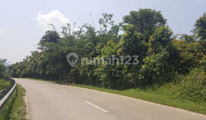 Strategic Land Location Suitable for Commercial Warehouses or Housing in Jasinga, Bogor