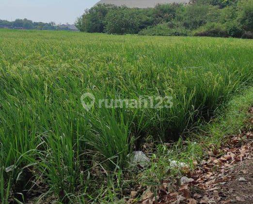 Tanah Murah Lokasi Strategis Pinggir Jalan Raya Di Jalan Raya Rengasdengklok Karawang Barat 2