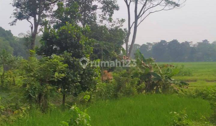 Tanah Murah Lokasi Strategis Cocok Untuk Perumahan Di Tigaraksa Tangerang 2