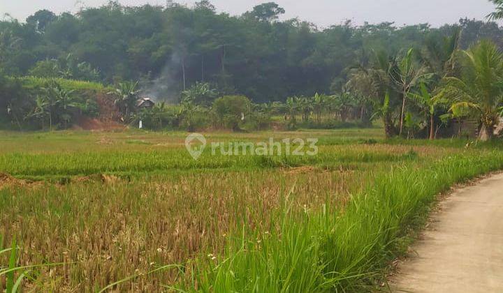 Tanah Murah Lokasi Strategis Cocok Untuk Perumahan Di Tigaraksa Tangerang 1