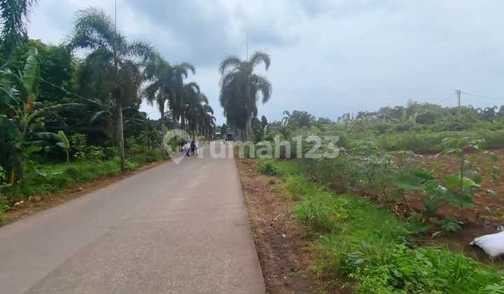 Tanah Murah Siap Bangun Lokasi Strategis di Suradita Ciksauk Tangerang
