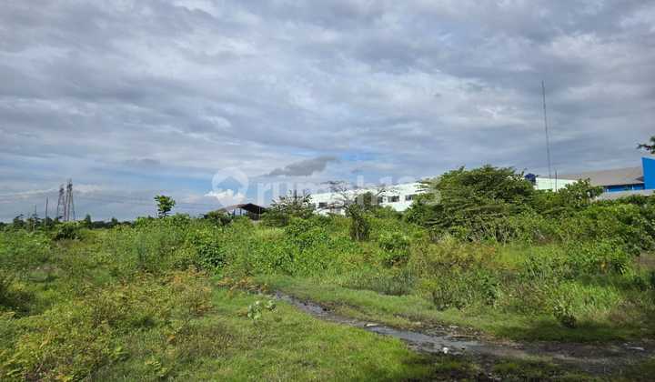 Tanah Gandeng Siap Bangun Lokasi Strategis Akses Kontainter 40ft Bebas Banjir Cocok Untuk Gudang Atau Pabrik Di Kawasan Industri Modern Cikande Serang Banten