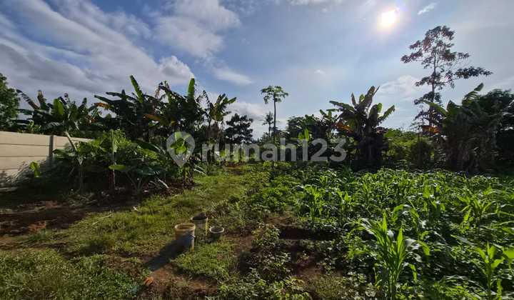 Tanah Murah Lokasi Strategis Siap Bangun di Desa Jatake Pagedangan Kabupaten Tangerang Tanah Murah Lokasi Strategis Siap Bangun di Desa Jatake Pagedangan Kabupaten Tangerang